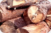 parafin-wax-slack-waxes